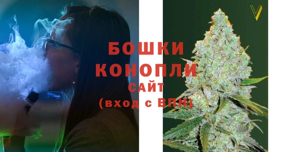 сатива Грязи