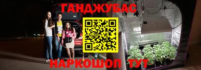 крисы Апрелевка