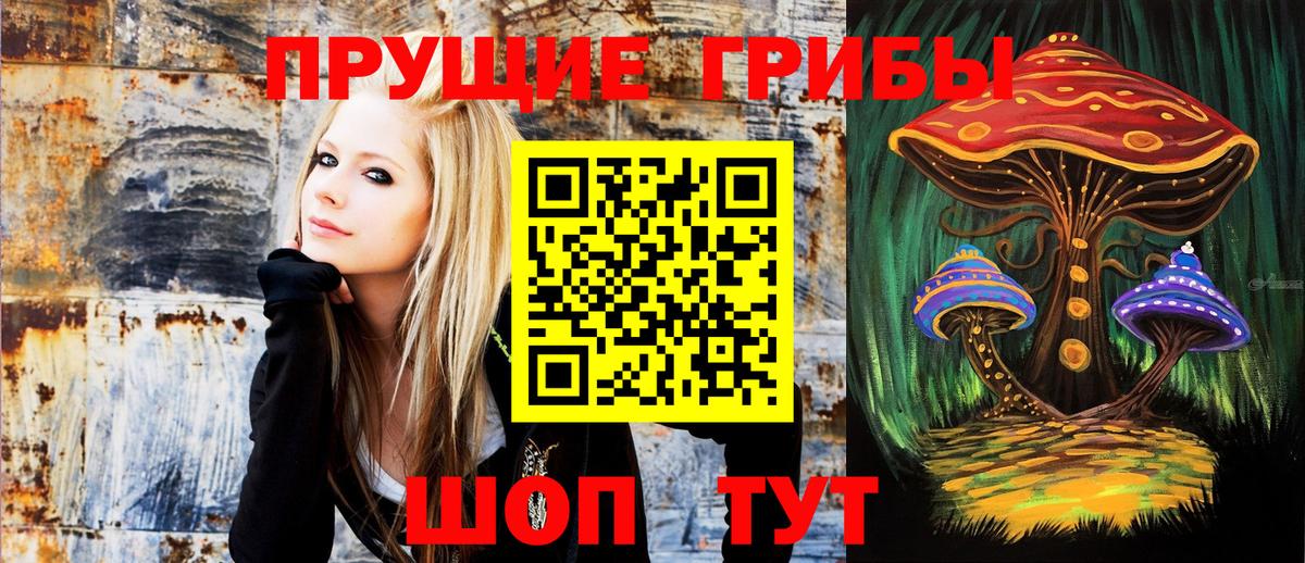 Абинск  наркошоп  Псилоцибиновые грибы GOLDEN TEACHER  Вход с VPN  Галлюциногенные грибы ЛСД 