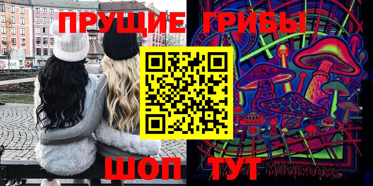 Абинск  Псилоцибиновые грибы мицелий  Галлюциногенные грибы Psilocybe  Вход с VPN 