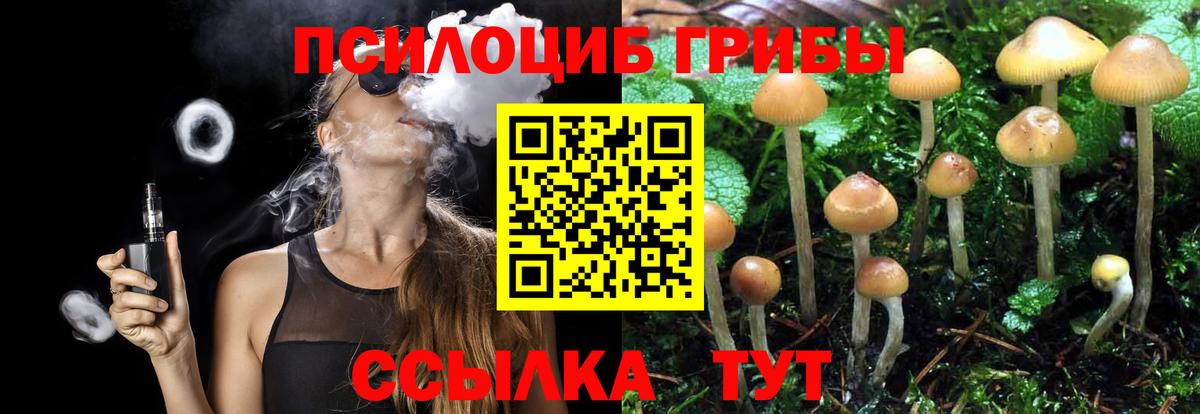 Галлюциногенные грибы Magic Shrooms Абинск